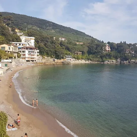 Terrazza Blue Line *