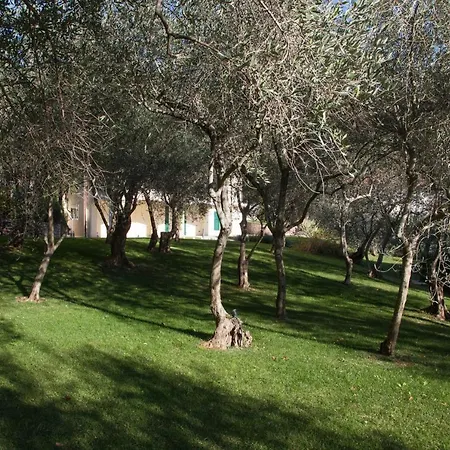 Terrazza Blue Line דירה טלארו