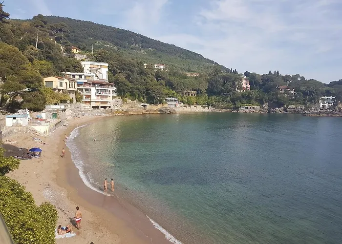 Terrazza Blue Line *